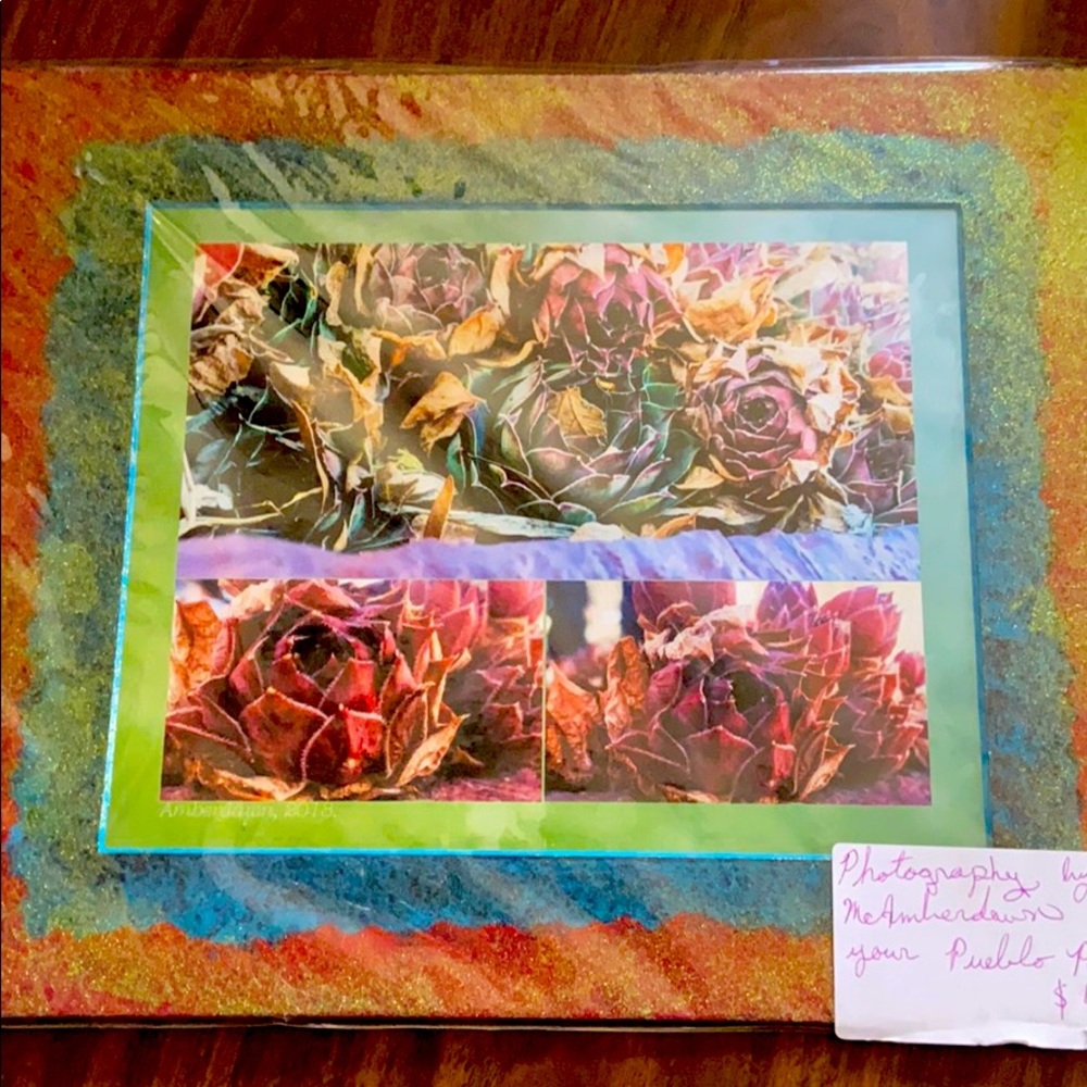 Flower Art, photography on painted frame